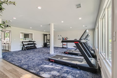 a home gym with a treadmill and weights on a blue rug