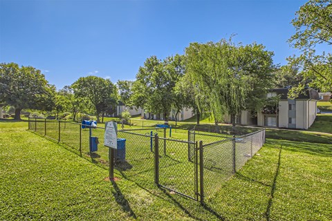 the preserve at ballantyne commons dog park