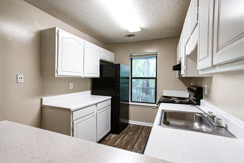 Double Sink With Integrated Sprayer at 50 Stoneview, Georgia, 30047