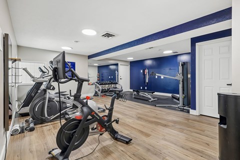 A gym with a row of stationary bikes.