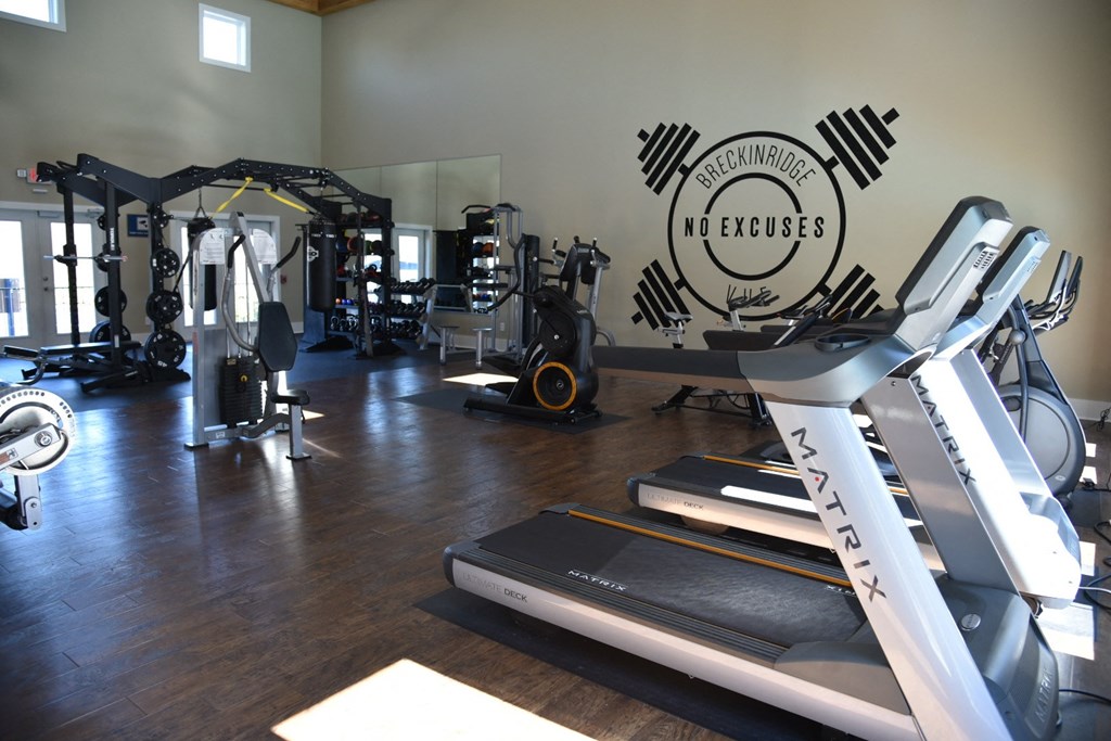 World-Class Fitness Center at Breckinridge Vue, Duluth