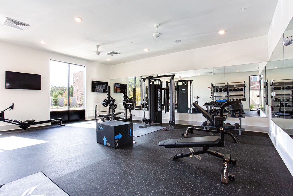 the home gym has plenty of exercise equipment and a television at The Indigo Apartments, Canton, GA, 30114