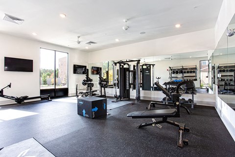 the home gym has plenty of exercise equipment and a television at The Indigo Apartments, Canton, GA, 30114