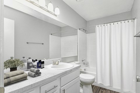 Bathroom at The Carter 4250 Apartments, Georgia 30093