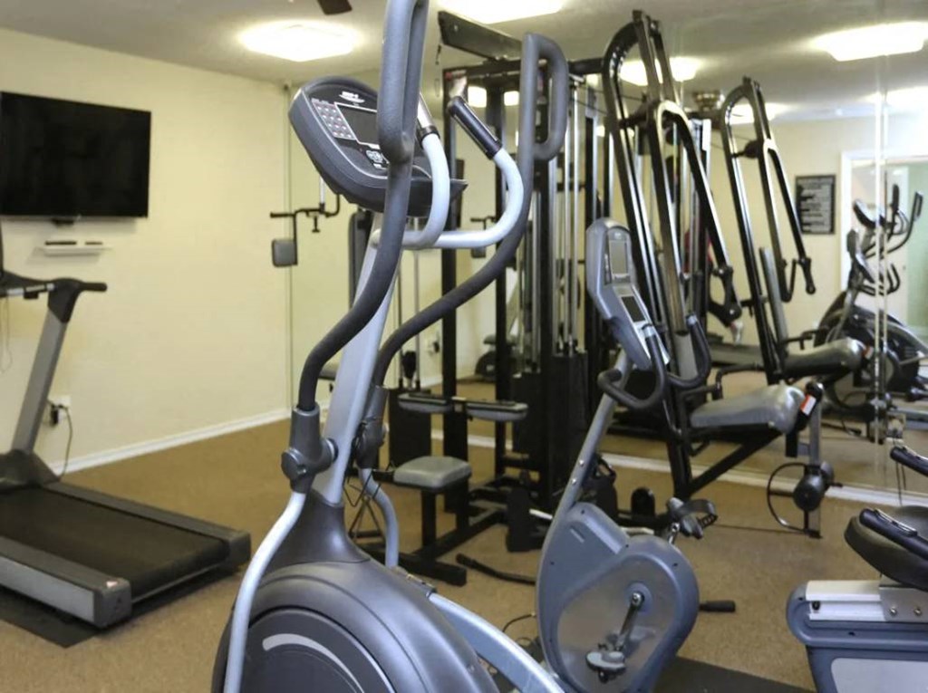 the gym has a lot of equipment in it