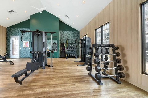 A gym with a variety of equipment including a bench press, squat rack, and a leg press machine.