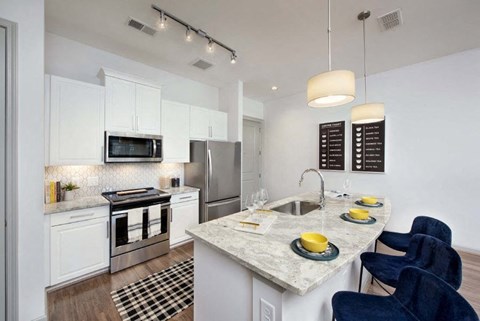 Ten45 Suwanee Luxury Apts