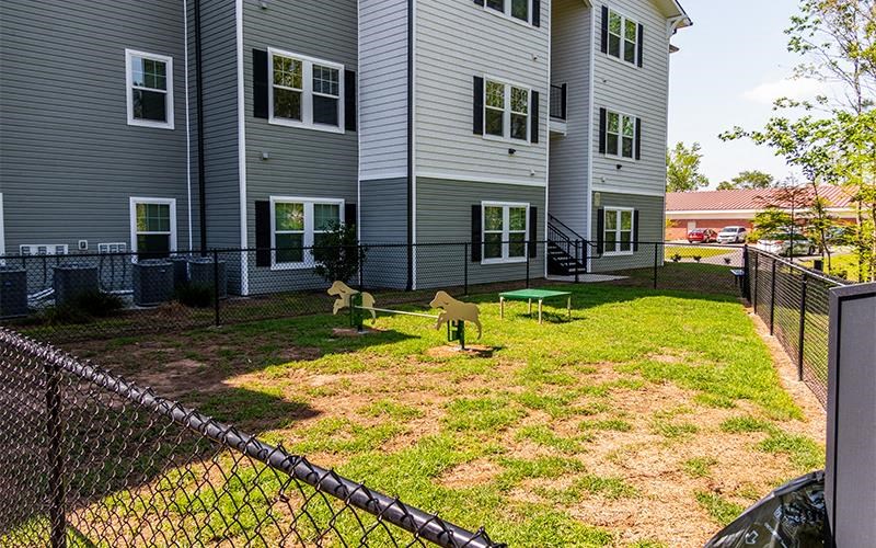 a yard with two dogs in front of a house