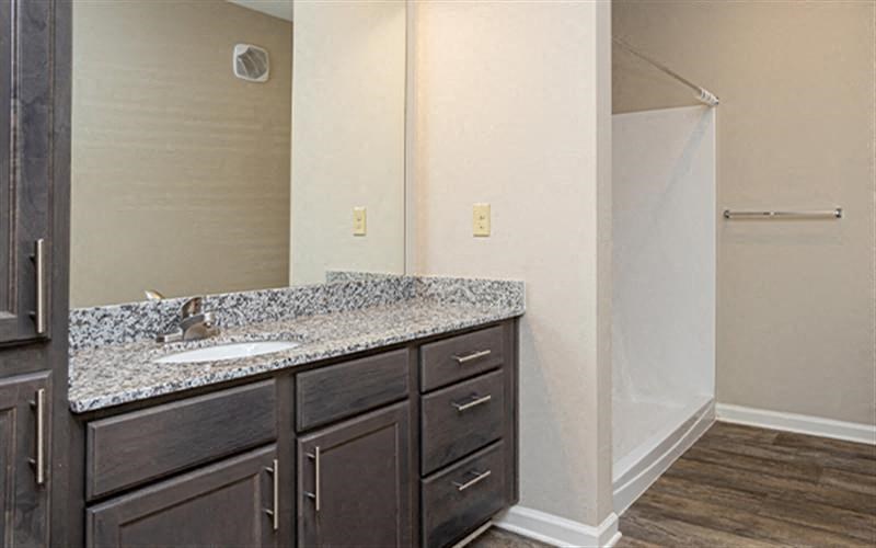 a bathroom with a sink and a mirror