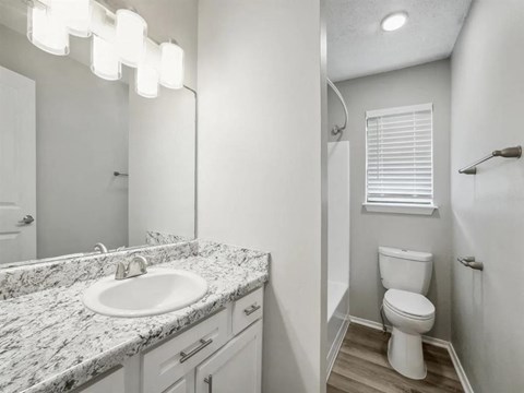 a bathroom with a sink and a toilet