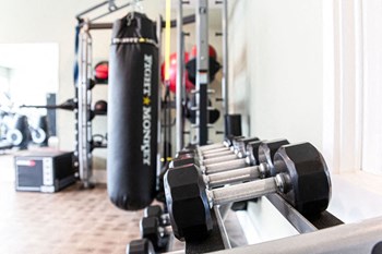 The Apartments At Brayden