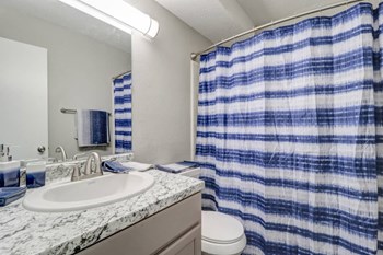 Upgrades bathroom at Green Meadows 2910, Augusta, GA 30906 - Photo Gallery 6