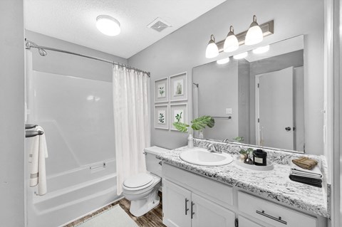 a bathroom with a sink and a toilet and a shower