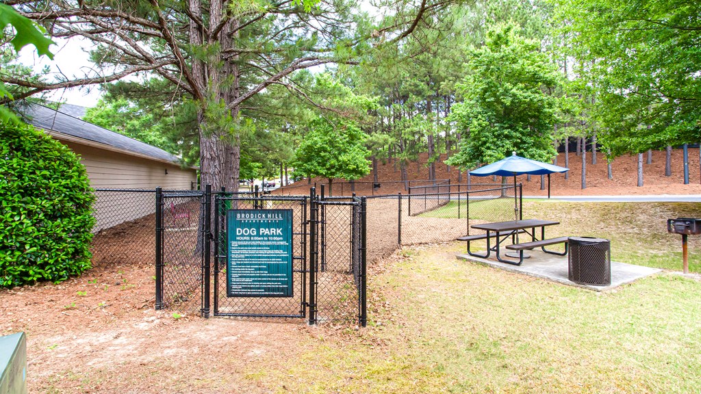 Brodick Hills dog park with seating