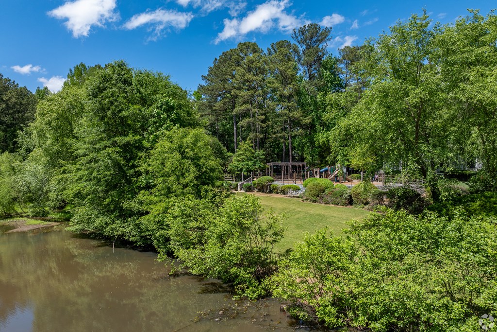a view of a river and a park with trees