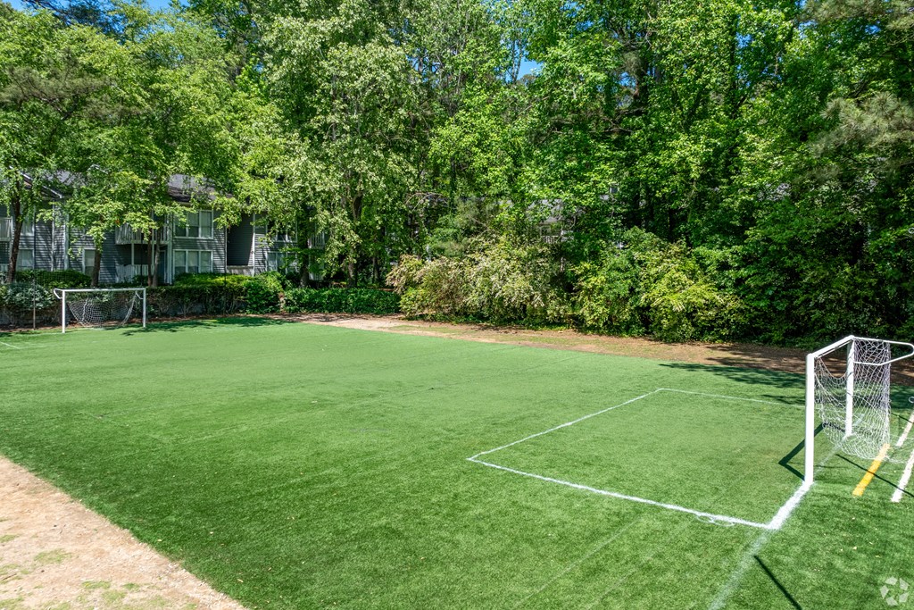 a soccer field on a lawn in front of some trees