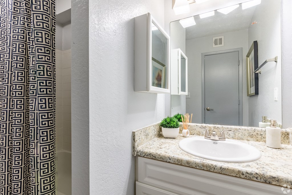 a bathroom with a sink and a mirror and a shower
