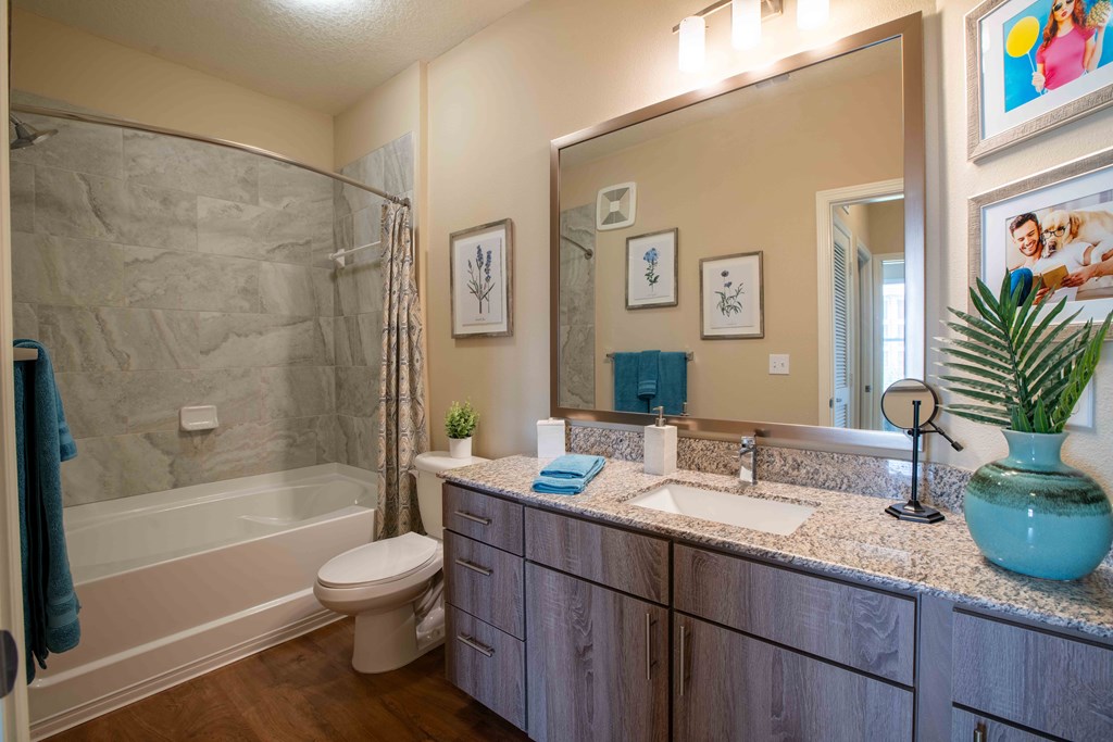 a bathroom with a sink and a toilet and a shower at Century Dunes Apartments, Deland, FL, 32724