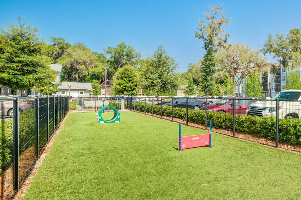 Dog Park at Century Town Center, Gainesville, FL, 32607