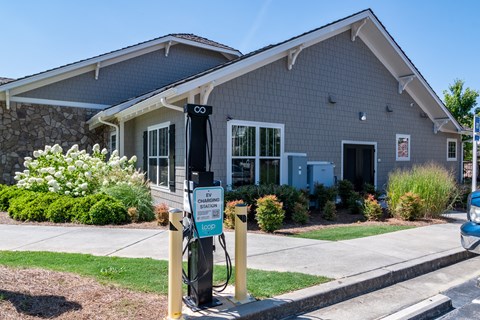 Century At The Ballpark