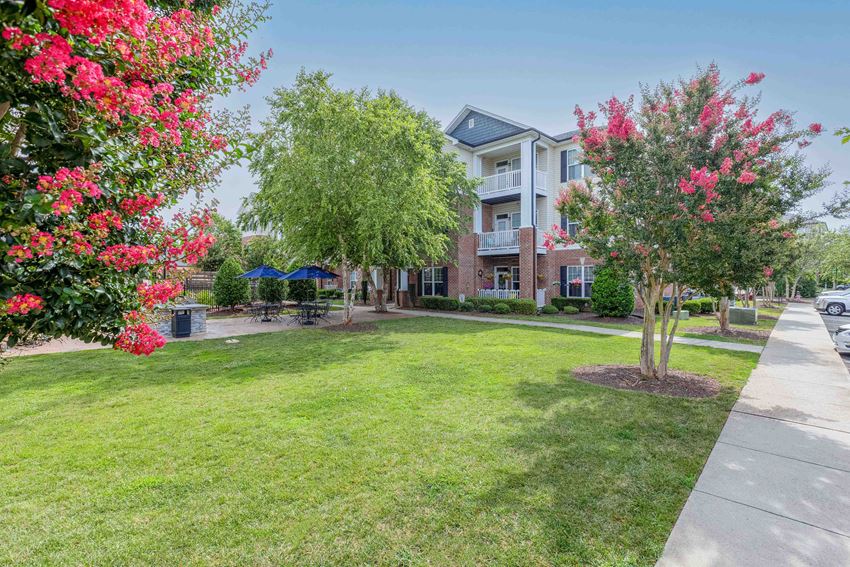 our apartments are located in the heart - Photo Gallery