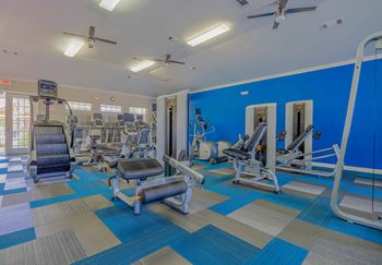 The Hustle | Expansive Fitness Center with Cardio & Weights Station