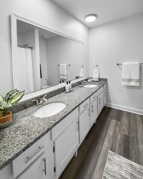 A bathroom with a large mirror, a sink, and a potted plant.