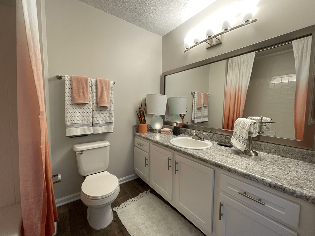 modern bathroom featuring modern finishes at Palmetto Place, Fort Mill, SC