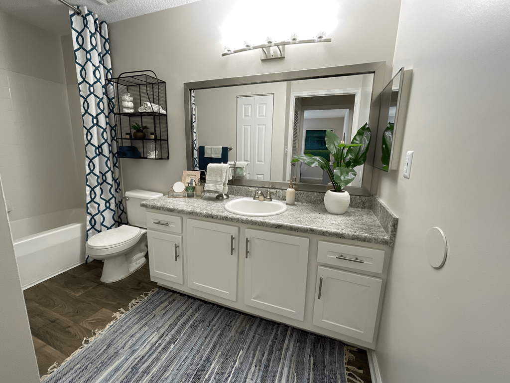 beautiful bathroom at Palmetto Place, South Carolina, 29708