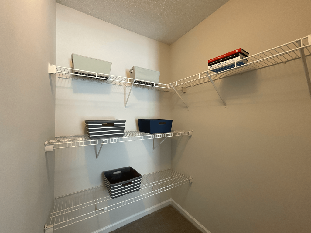 spacious closet at Palmetto Place, South Carolina