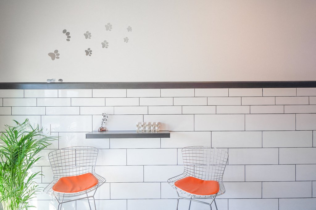 a bar with orange chairs and a white brick wall with paw prints on it