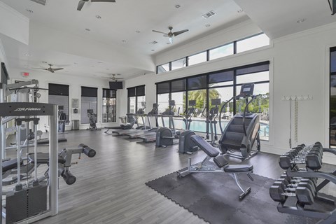 a gym with weights and cardio machines and a swimming pool