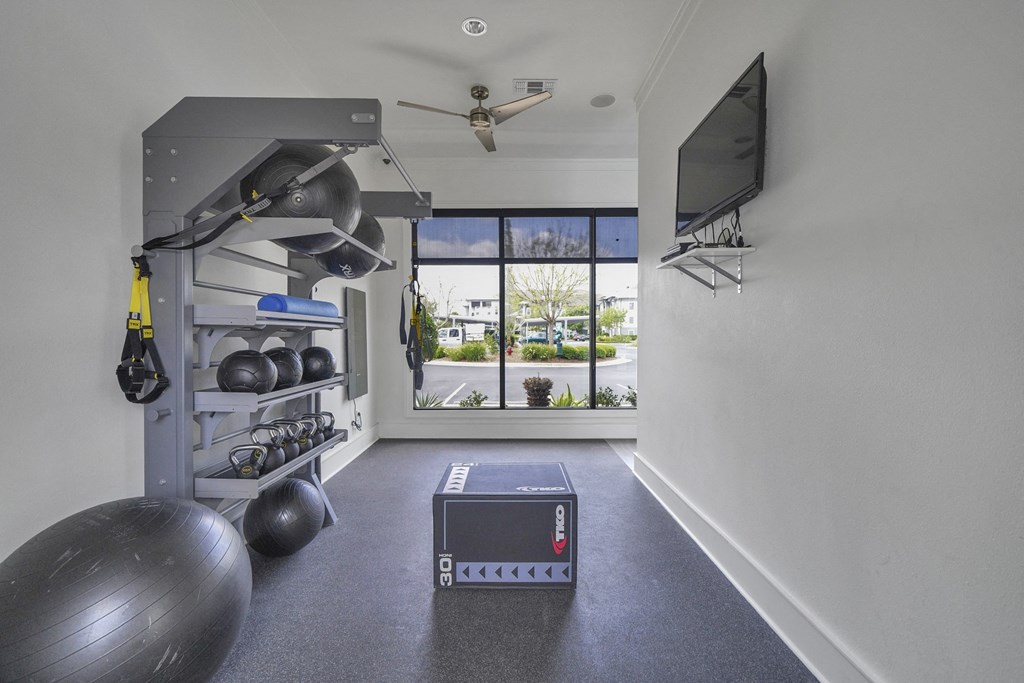 a workout room with a television and weights on the wall