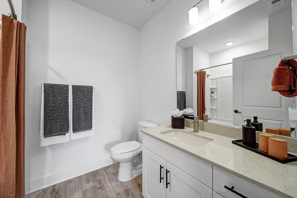 a bathroom with a sink and a toilet and a mirror