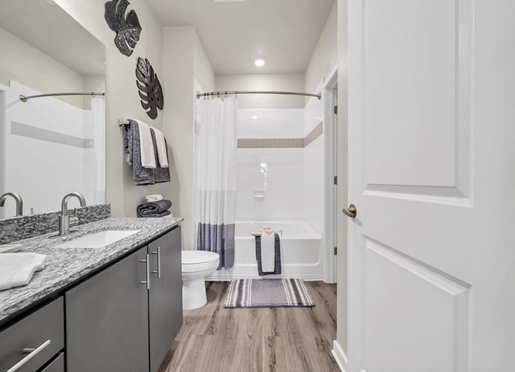 a bathroom with a sink and a toilet
