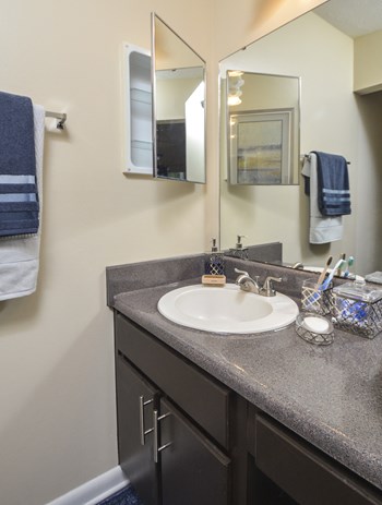 Bathroom area at Harvard Place Apartment Homes by ICER, Georgia - Photo Gallery 65