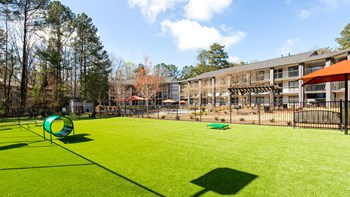 Dog Park Dog Park at Elevate Twenty Three, Smyrna, GA, 30080 - Photo Gallery 3