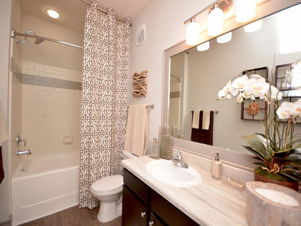 a bathroom with a sink and a toilet and a shower