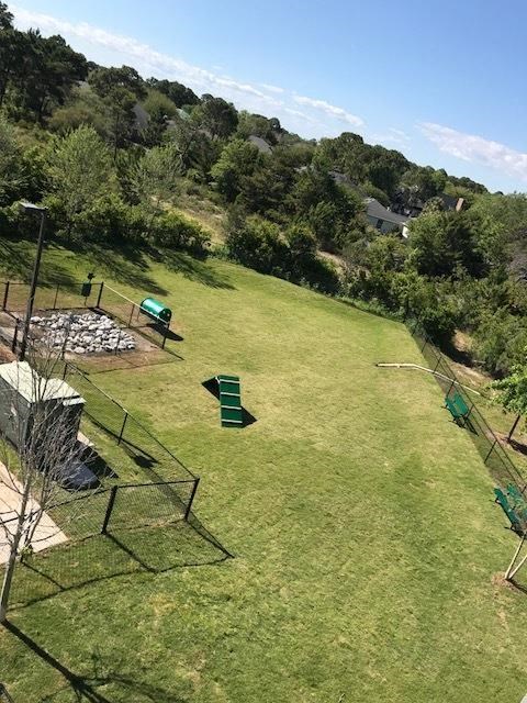 an aerial view of a backyard with a dog park