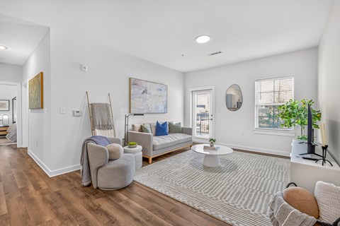 A living room with a grey sofa and a grey rug.