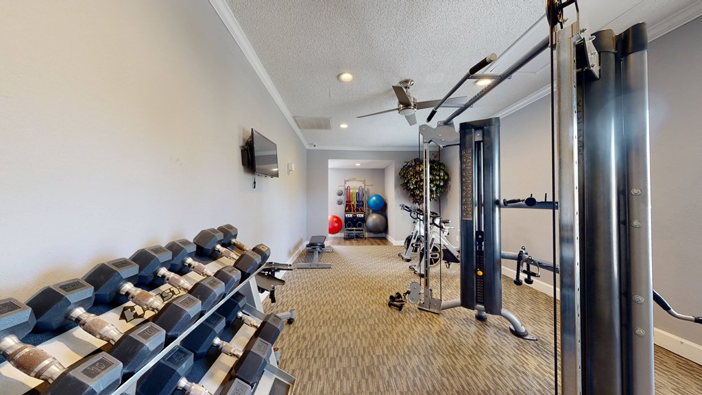 the apartments at masse corner 205 fitness room  at Vue on Medlock, Georgia, 30092