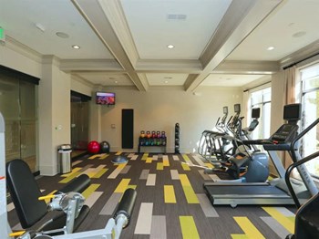 2370 Main Street 1-3 Beds Apartment for Rent - Photo Gallery 4