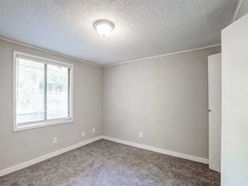3030 Continental Colony Pkwy Studio-2 Beds Apartment for Rent - Photo Gallery 5
