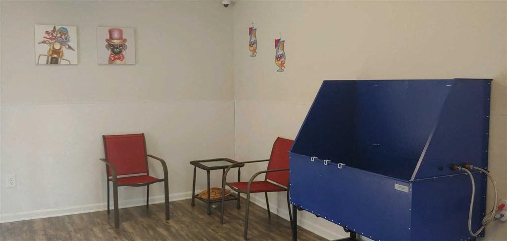 a room with chairs and a blue piano in the corner