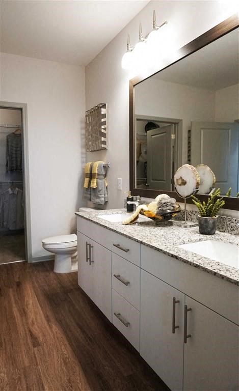 a bathroom with a sink and a toilet and a mirror