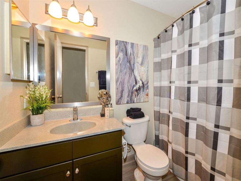 a bathroom with a shower and a toilet and a sink