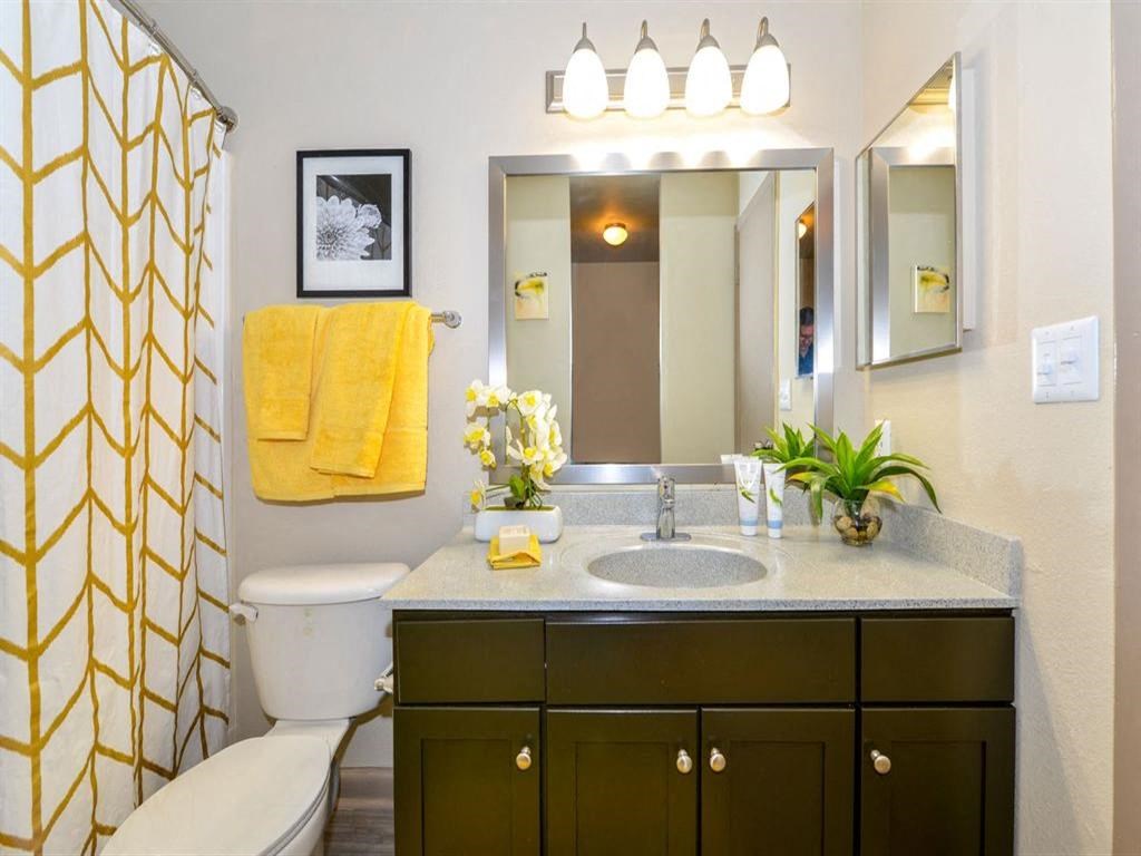 a bathroom with a sink and a toilet and a mirror