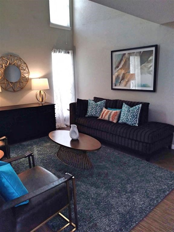 a living room with a black couch and a coffee table