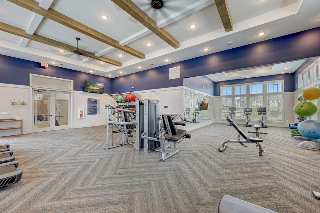 Gym at Century Mundy Mill Apartments, Oakwood, GA