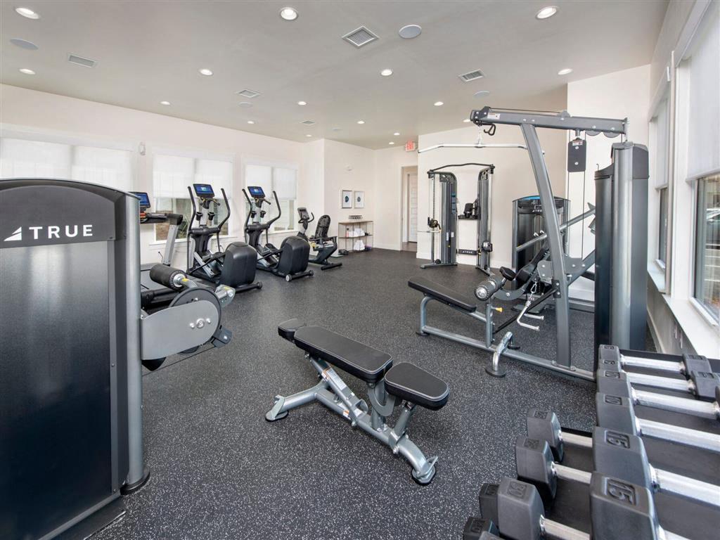 Monarch At Godley Station